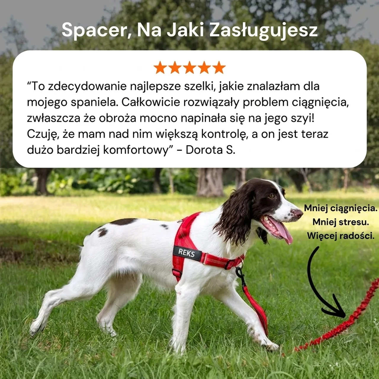 LuznySpacer Szelki Bez Ciągnięcia